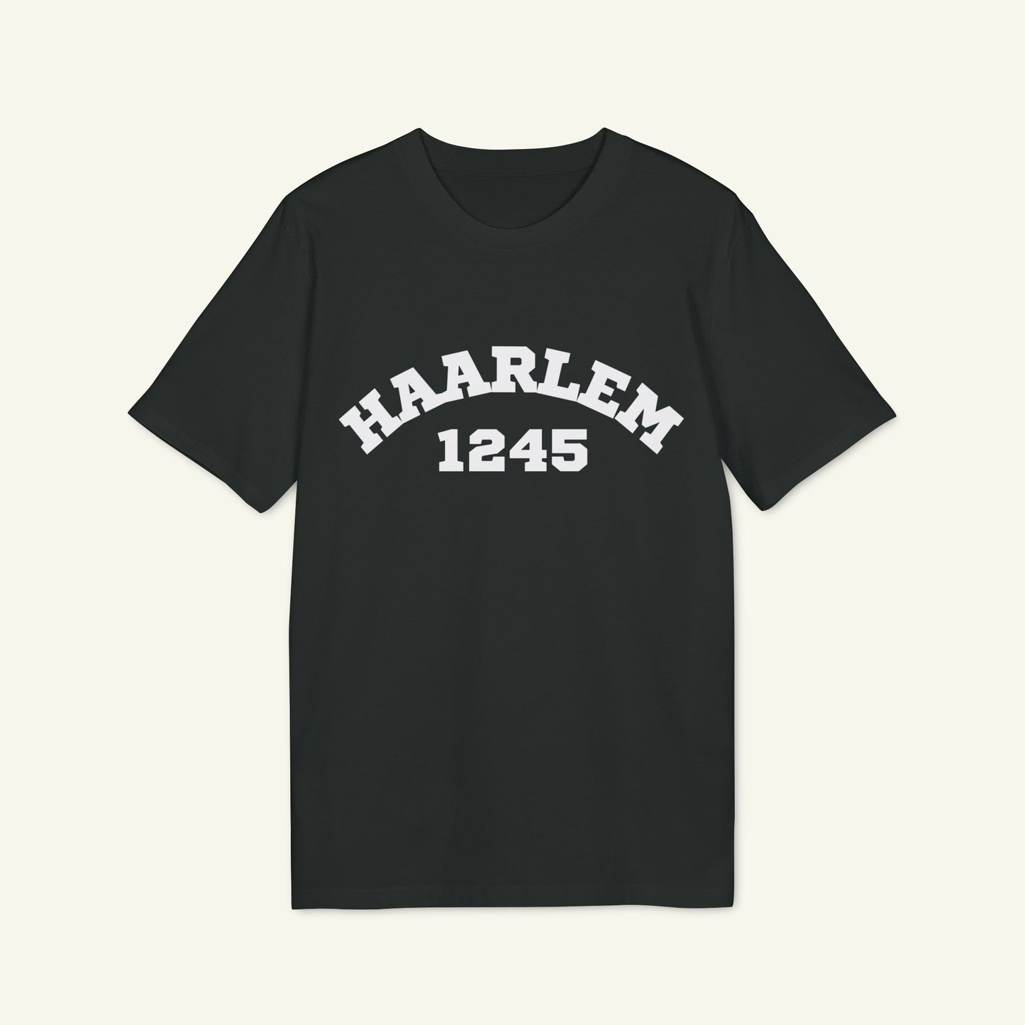 HAARLEM - 1245